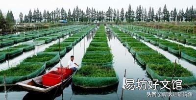 全面禁食野生动物,农村到底哪些还能养?养殖户以后怎么办?