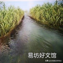 我几十亩荒地,里面有鱼塘,树林,怎样去开发?