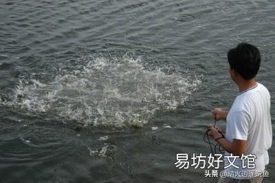 虾料台有泥粒什么原因?