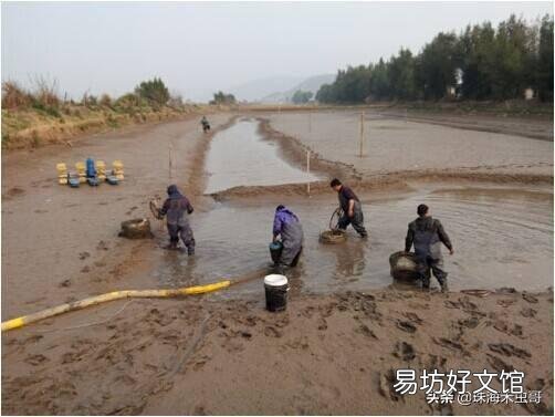 虾池什么时候换水最好,是改底后吗?
