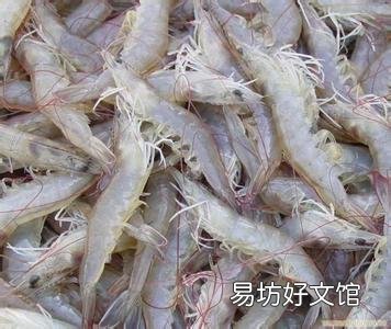 虾池什么时候换水最好,是改底后吗?