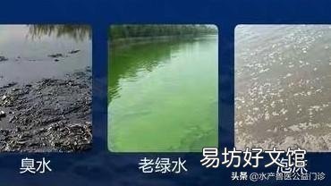 虾池什么时候换水最好,是改底后吗?