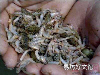虾池什么时候换水最好,是改底后吗?