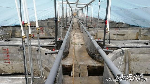 虾池什么时候换水最好,是改底后吗?