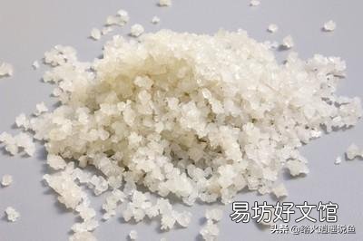 殺菌鹽放到魚缸里，魚為什么會死？