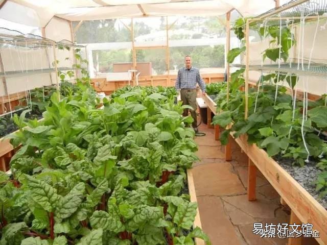 现在鱼菜共生,国内做的也有很多,到底有什么优点?请大神来分析一下?