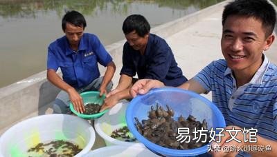 脚鱼吃什么?