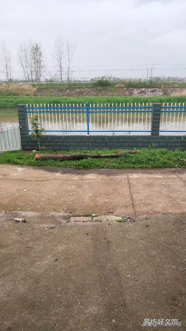 怎么樣用深井水喂養四大家魚？