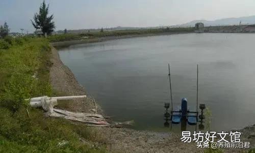 水产养殖消毒杀虫后需要解毒吗?