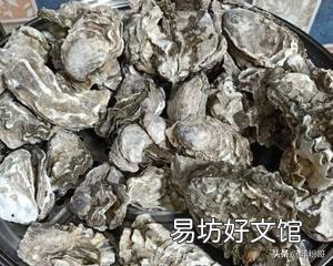錦鯉過濾池用什么濾料經濟實用？