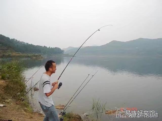 野生鱼越来越少，和越来越多的钓鱼人有多大关系？
