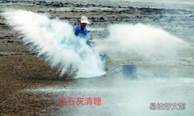 新挖的鱼塘,为什么放鱼苗下去都会死很多?