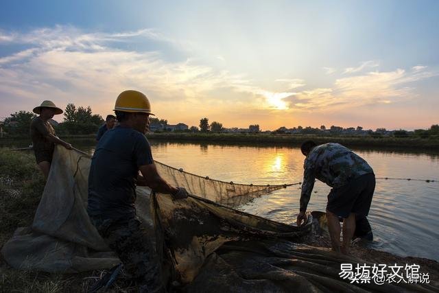 新挖的鱼塘,为什么放鱼苗下去都会死很多?