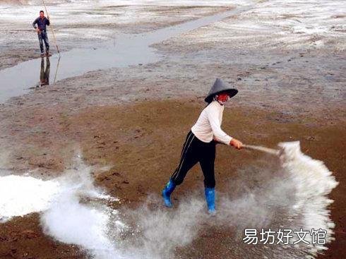 新挖的鱼塘,为什么放鱼苗下去都会死很多?