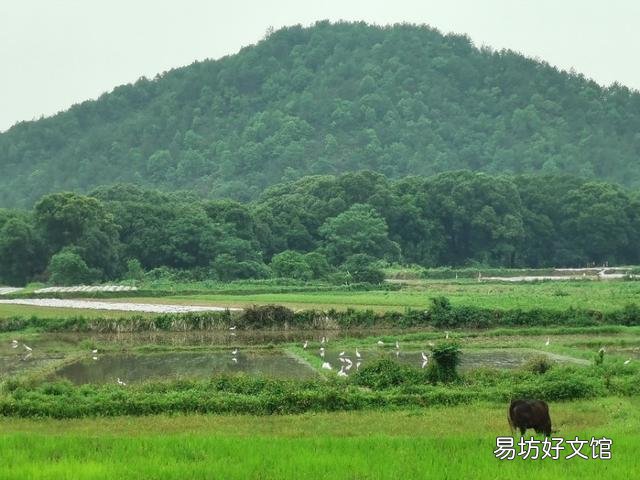 有一口20亩的水塘、靠近高铁站,怎么才能让它的利益最大化呢?