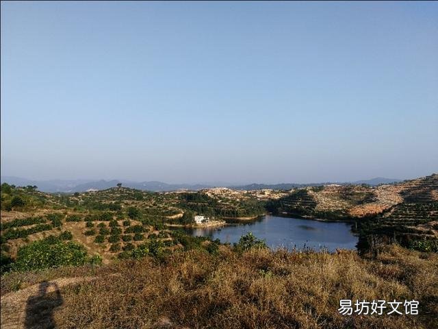 有一口20亩的水塘、靠近高铁站,怎么才能让它的利益最大化呢?