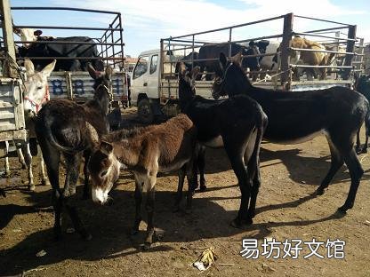 我有近一千亩山想搞养殖苦于没那么多本钱怎么办？