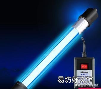 家里楼顶的水池2、3天就变绿了,有什么办法能让水不变绿呢?