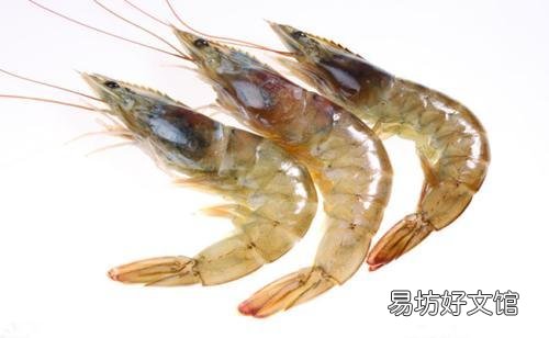 对虾偷死常常发生，该怎么预防？