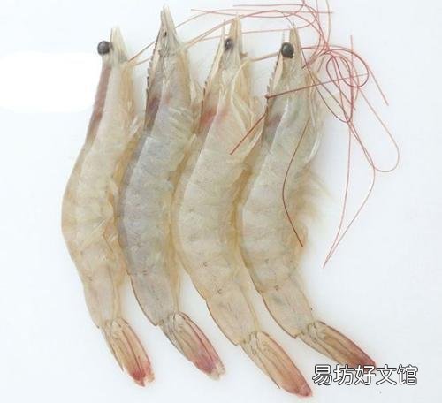 对虾偷死常常发生，该怎么预防？