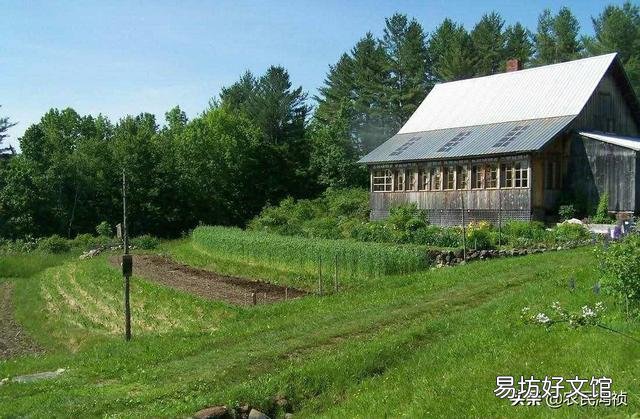 怎样才能让大家回农村种田、养猪、养鸡鸭牛羊呢?