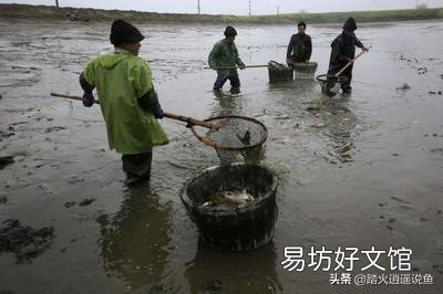 没有水的池塘干撒石灰有作用吗?