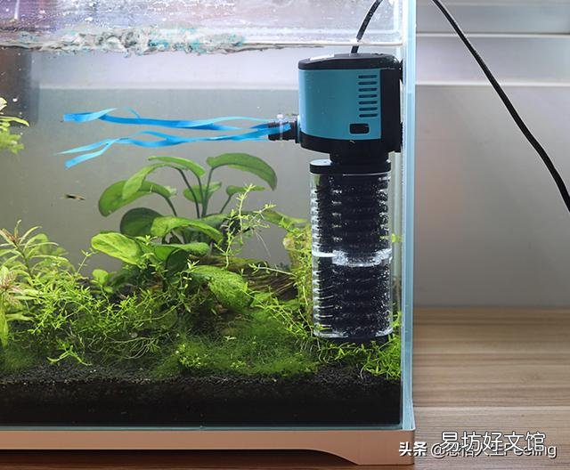 鱼缸里添加什么可使水变得清澈透明起来?有哪些净化水质的方法?