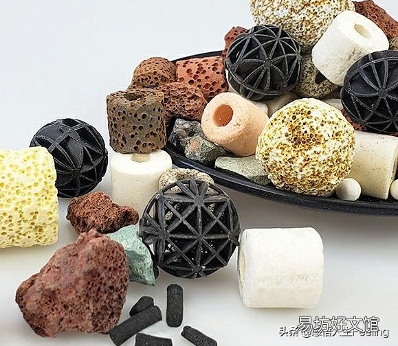 鱼缸里添加什么可使水变得清澈透明起来?有哪些净化水质的方法?