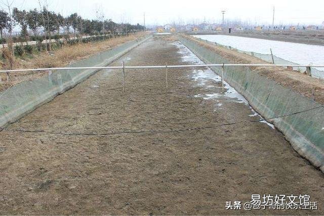 泥鳅池塘可以杀虫和消毒一起做吗?