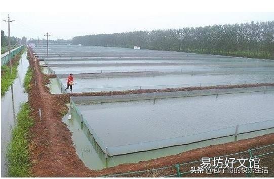 泥鳅池塘可以杀虫和消毒一起做吗?