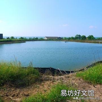 如果我想进行水产养殖要如何入手和学习？