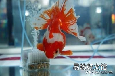 底滤鱼缸上水快下水慢咋解决?
