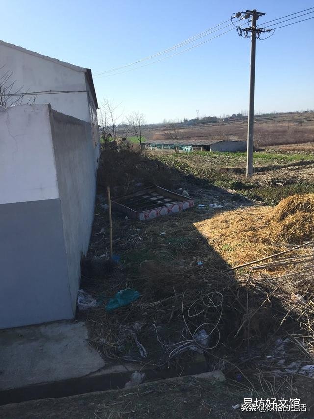 淺田改造的龍蝦養殖場，適合養或是種植別的什么嗎？