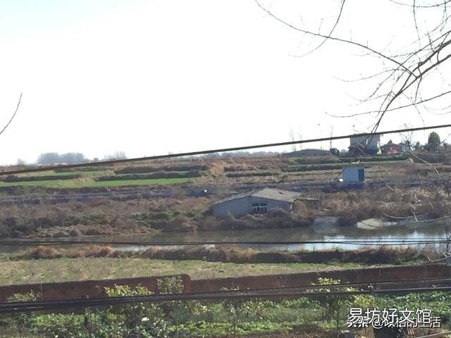 淺田改造的龍蝦養殖場，適合養或是種植別的什么嗎？