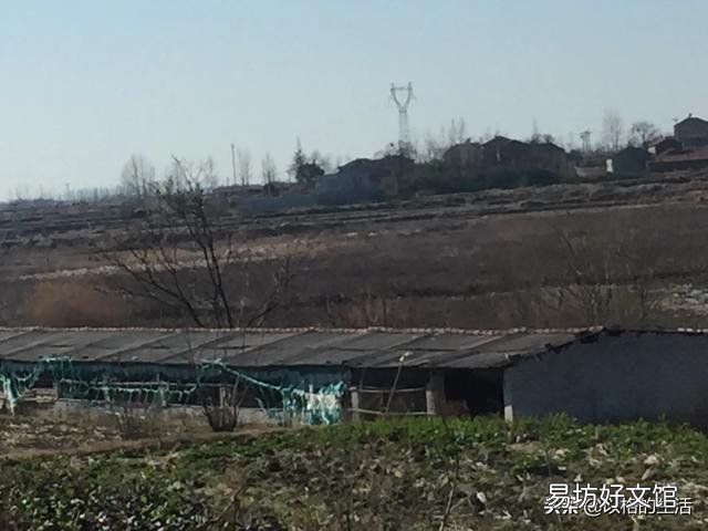 淺田改造的龍蝦養殖場，適合養或是種植別的什么嗎？