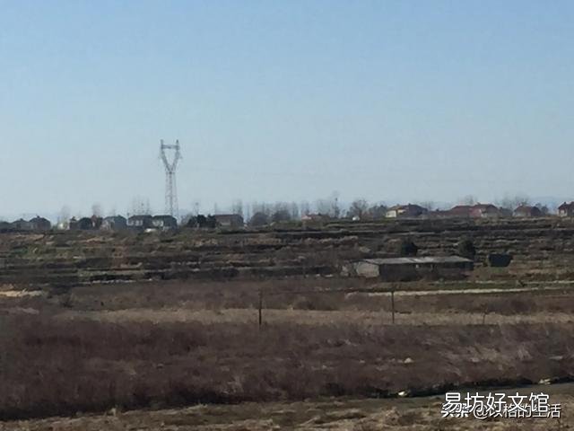 淺田改造的龍蝦養殖場，適合養或是種植別的什么嗎？