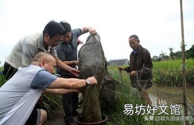 淺田改造的龍蝦養殖場，適合養或是種植別的什么嗎？
