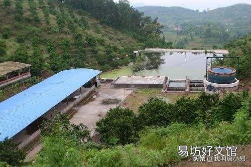 山上15亩鱼塘水很清澈水深10米，可以进行投资养鱼吗？