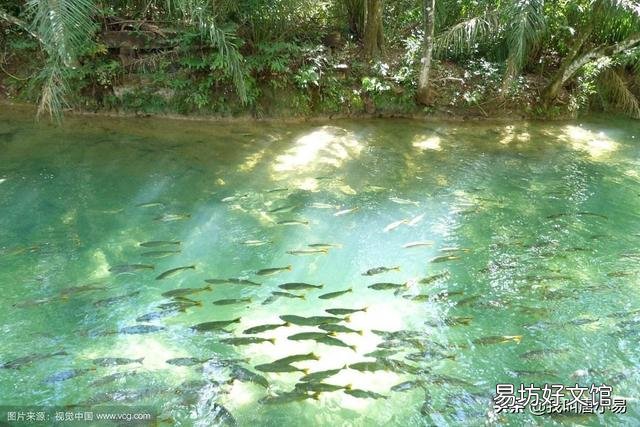 山上15亩鱼塘水很清澈水深10米，可以进行投资养鱼吗？