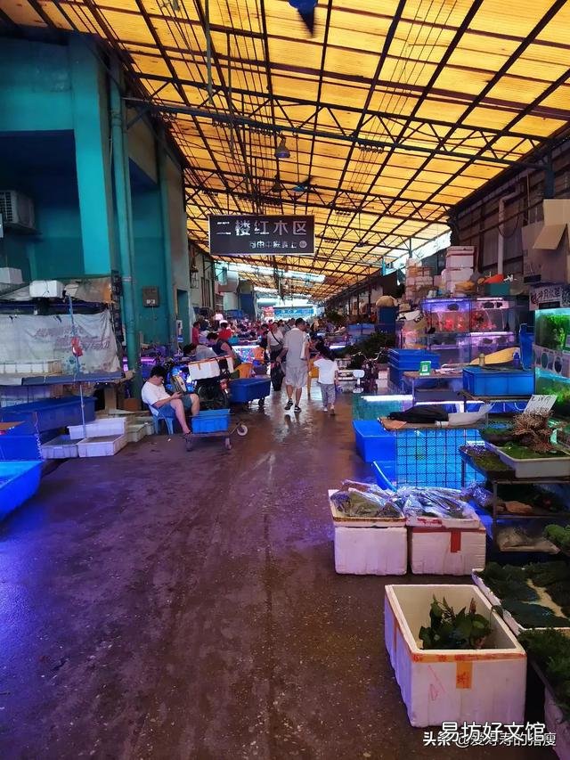 为什么饲养魚在这季节爱死?