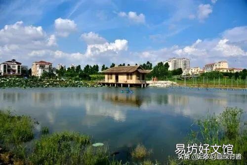 大坝塘养鱼鱼病了,有什么办法吗?