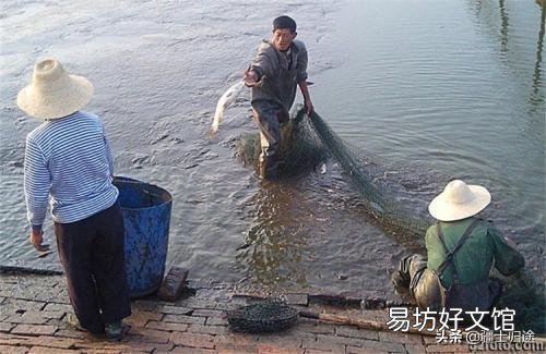 大坝塘养鱼鱼病了,有什么办法吗?