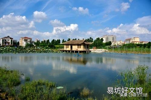 大坝塘养鱼鱼病了,有什么办法吗?