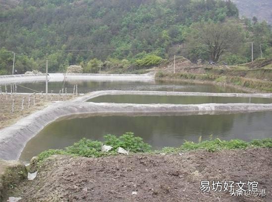 农村如何建池塘养鱼？