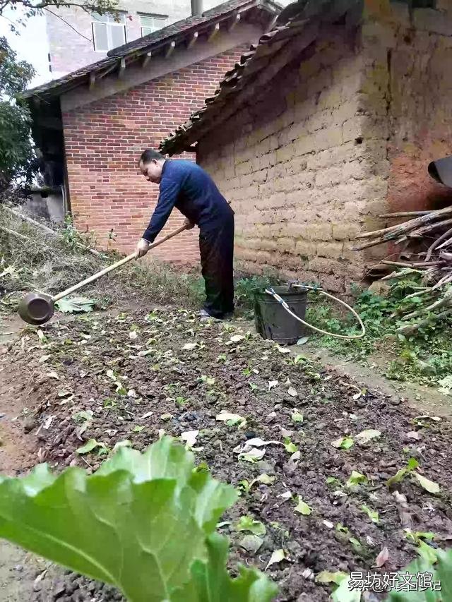 怎样说才能让人相信农民种的菜是有机菜？