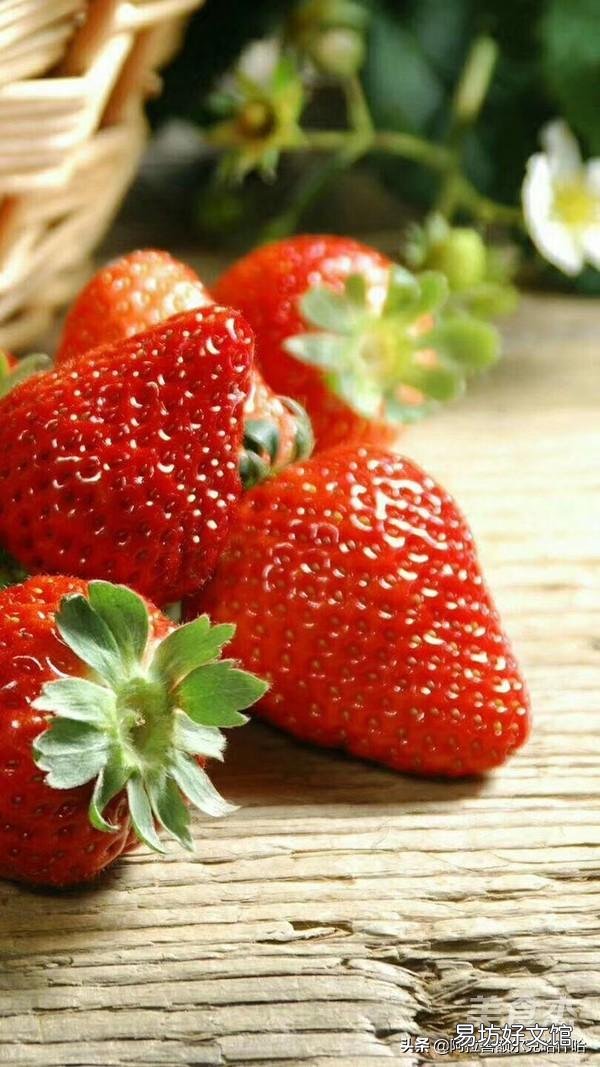 怎样说才能让人相信农民种的菜是有机菜？