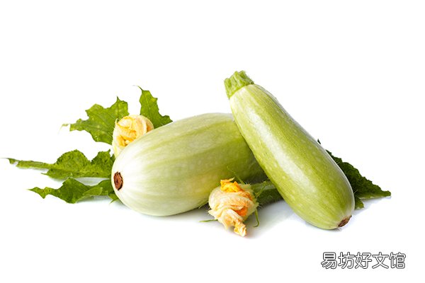 西葫芦和角瓜的区别【西葫芦和瓠瓜的区别】
