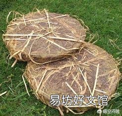 现在这个季节龙虾池适合杀灭鲫鱼吗?