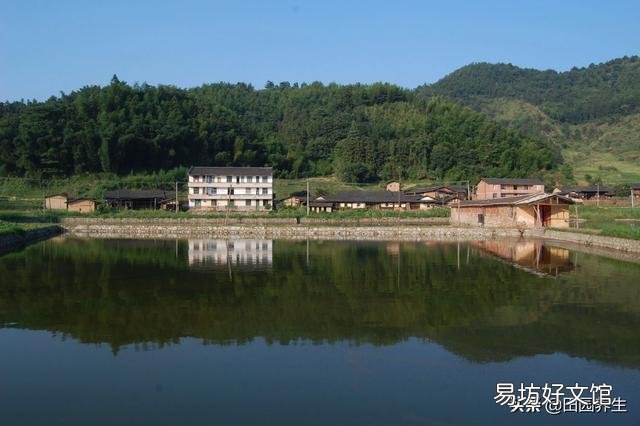 不想打工!想回老家租田养殖小杂鱼!田租1300一亩,可行吗?