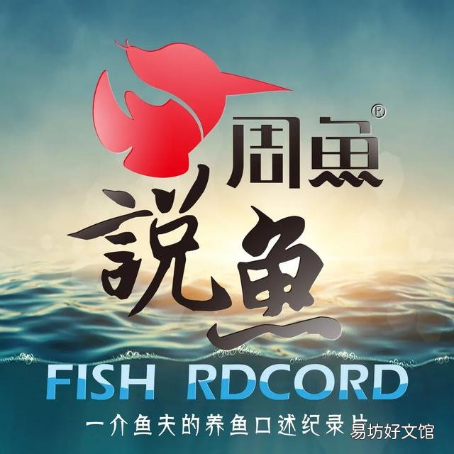 鱼缸里放两根加热棒适合吗?